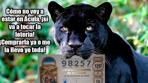 loteria pantera negra